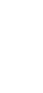 Loading pulse logo